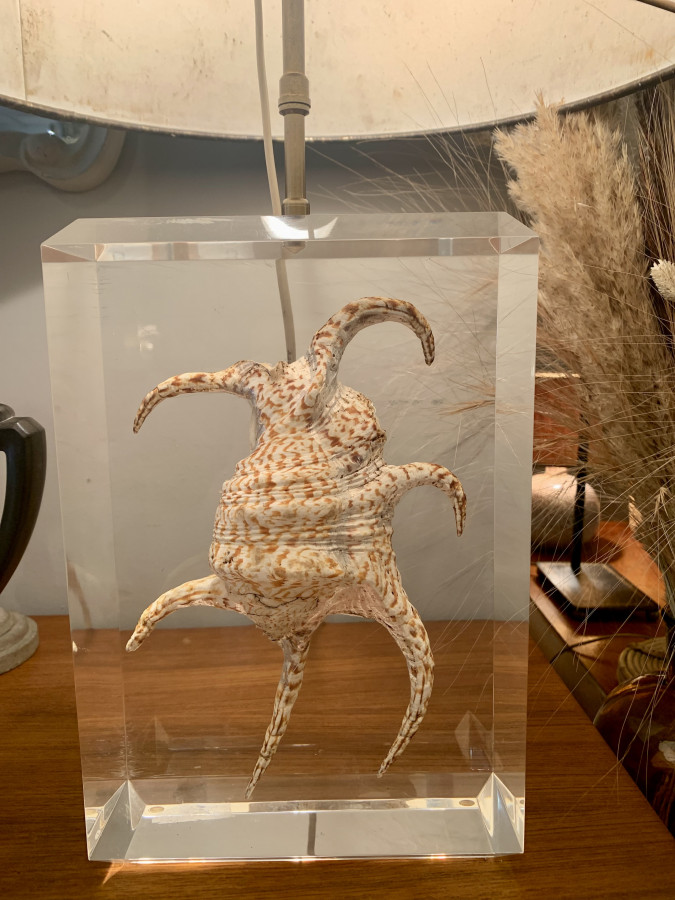 Lampe coquillage en résine dans le goût de Pierre Giraudon