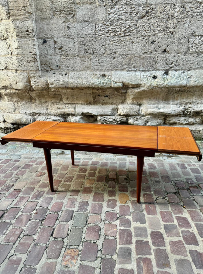 Table Scandinave en Teck avec 2 allonges