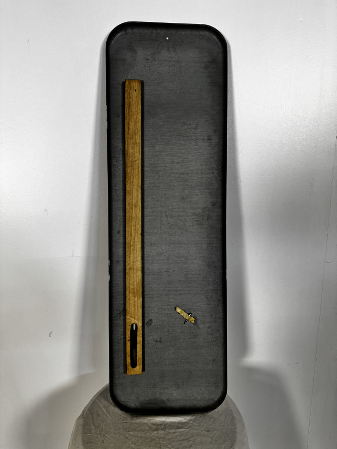 Thermomètre Champion