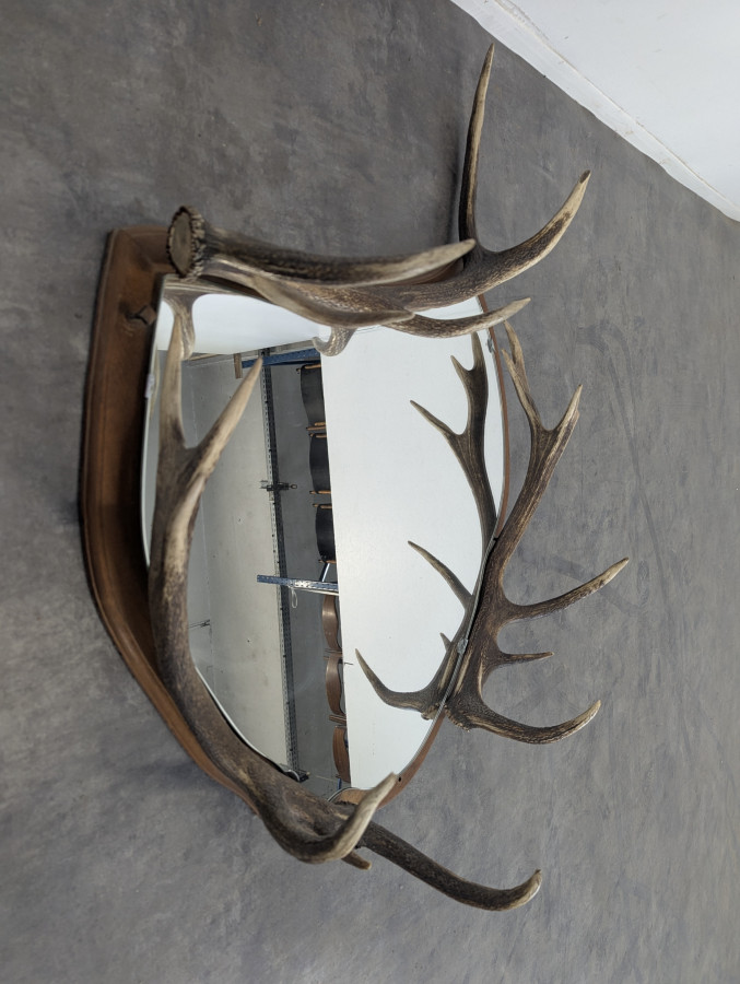 Miroir forêt noire composé de bois de cerfs
