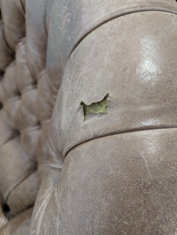 Fauteuil Windsor en cuir