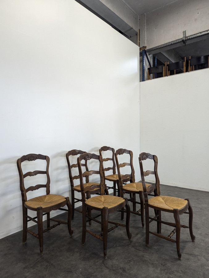 Série de 6 chaises paillées rustique à coquilles