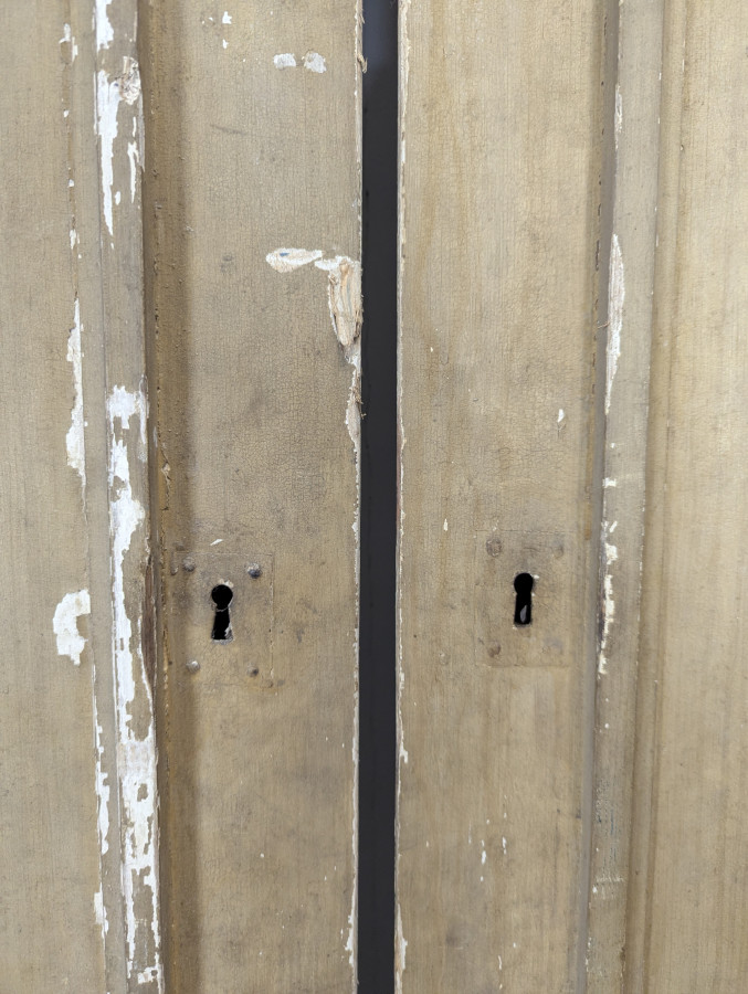 Paire de portes de boiseries fin XIX ème