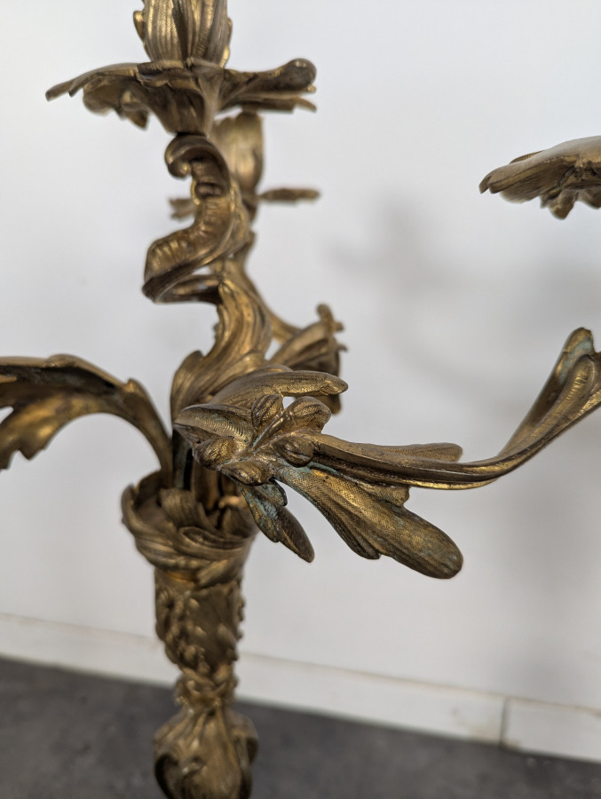 Paire de Bougeoirs ou Candélabres en Bronze doré
