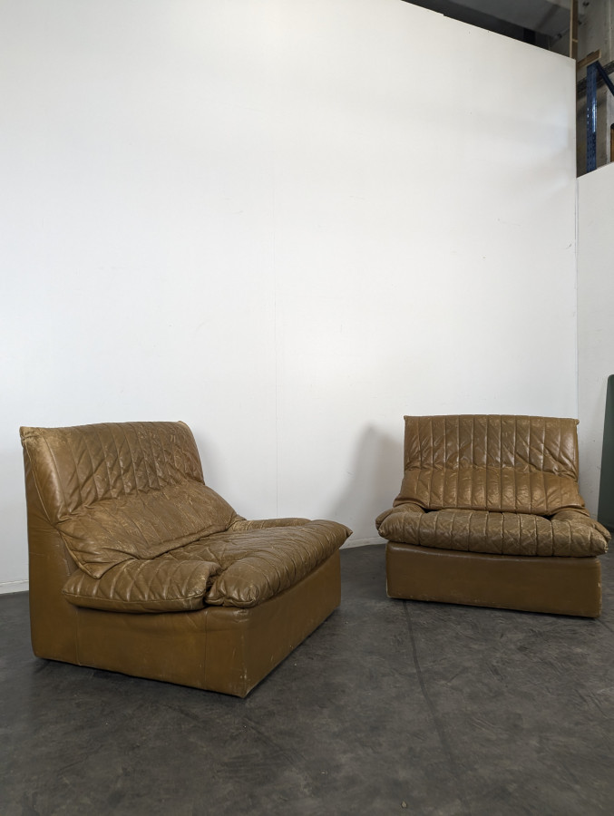 Paire de fauteuils Roche Bobois des années 70