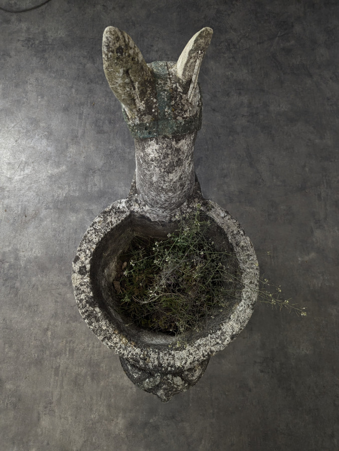 Âne en ciment décoration de jardin