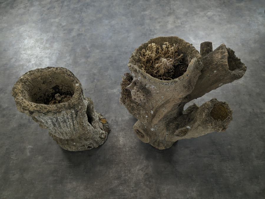 Jardinières en béton imitation bois
