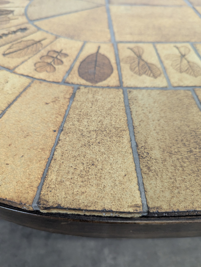 Table basse modele herbier de Roger Capron