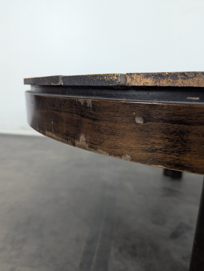 Table basse modele herbier de Roger Capron