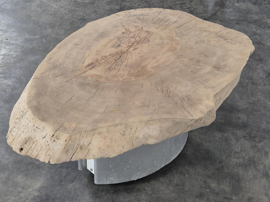 Table basse plateau tranche de bois brut sur piètement métallique
